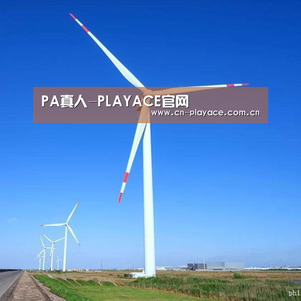 风能