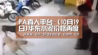 PA真人