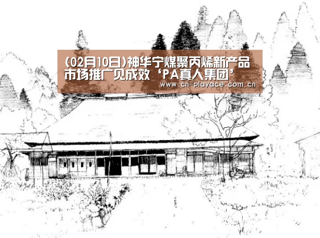 (02月10日)神华宁煤聚丙烯新产品市场推广见成效‘PA真人集团’(图2) PA真人集团