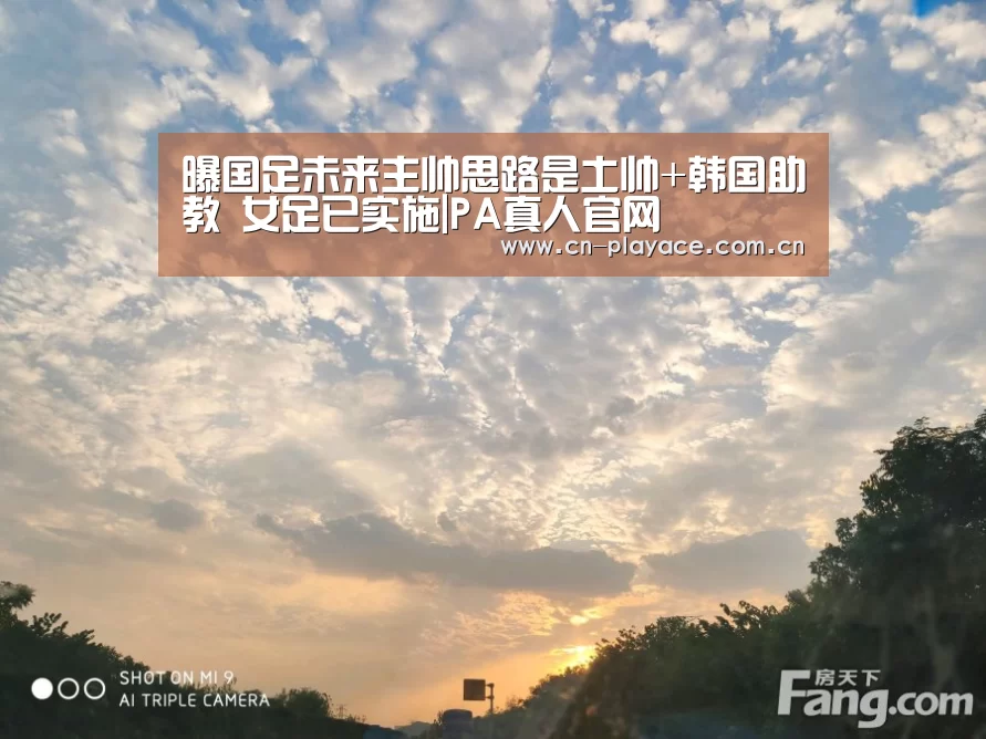 曝国足未来主帅思路是土帅+韩国助教 女足已实施|PA真人官网(图2) PA真人平台