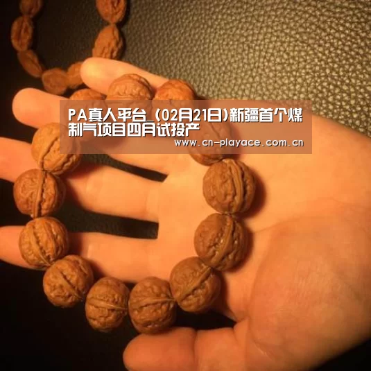 PA真人平台_(02月21日)新疆首个煤制气项目四月试投产(图2) PA真人官网
