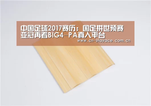 中国足球2017赛历:国足拼世预赛 亚冠再看BIG4-PA真人平台(图1) PA真人官网