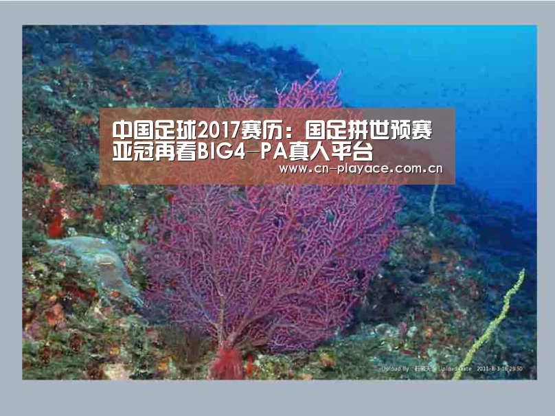 中国足球2017赛历:国足拼世预赛 亚冠再看BIG4-PA真人平台(图2) PA真人集团