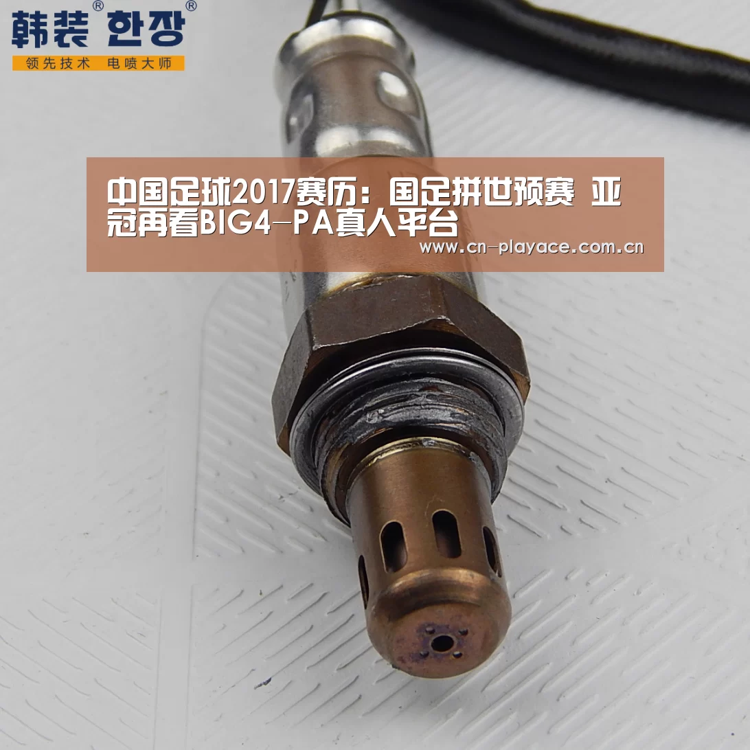 中国足球2017赛历:国足拼世预赛 亚冠再看BIG4-PA真人平台(图3) PA真人官网